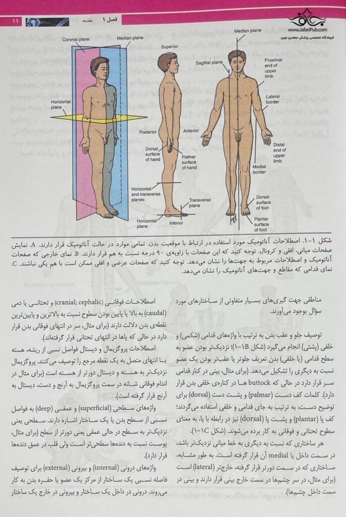 آناتومی بالینی اسنل