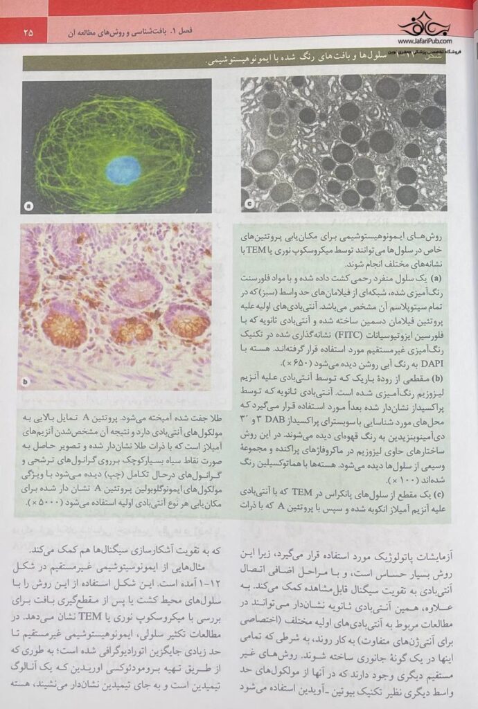 بافت شناسی پایه جان کوئیرا