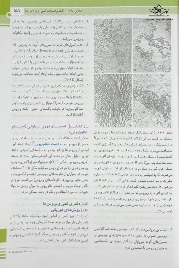 میکروب شناسی پزشکی جاوتز