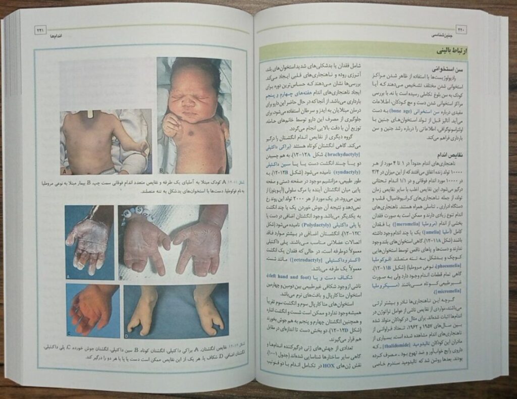جنین شناسی لانگمن