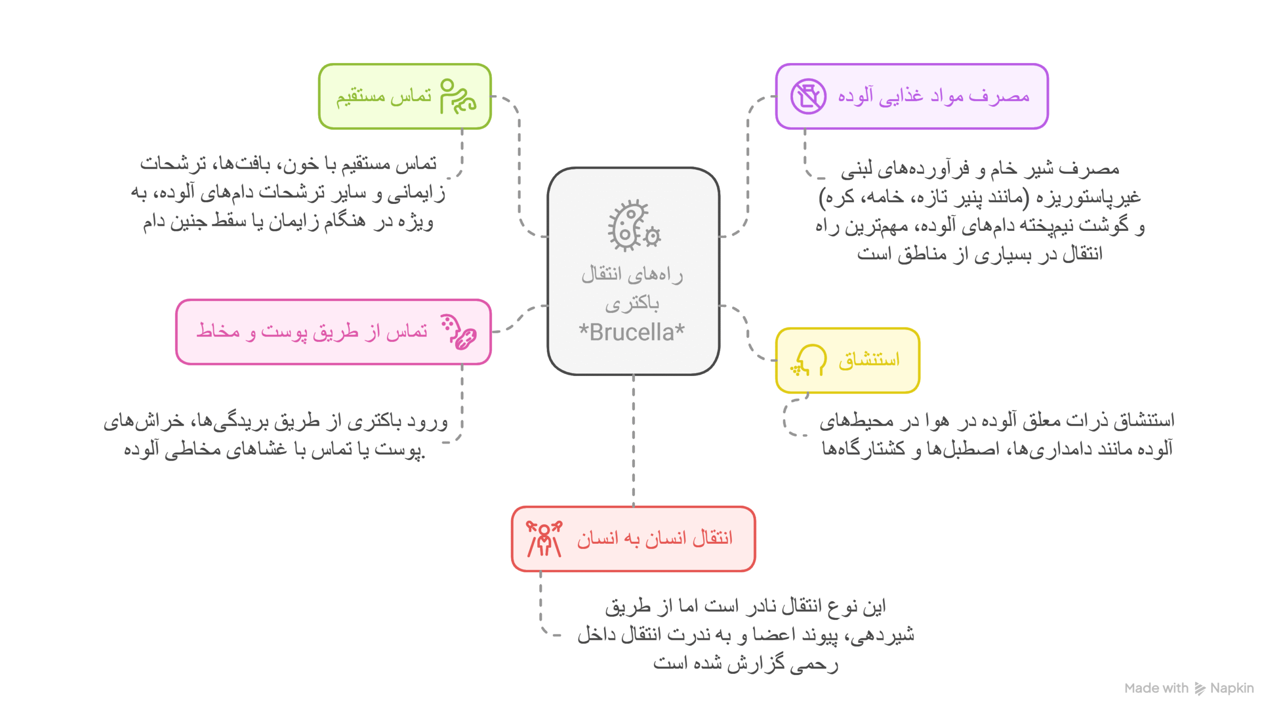 راه های انتقال باکتری بروسلا